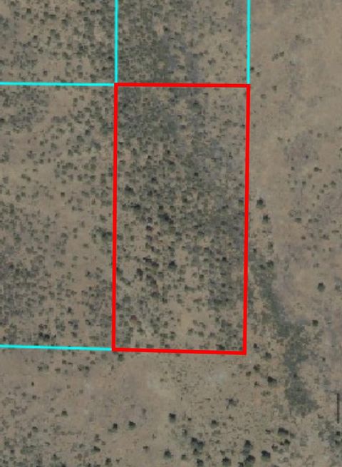  in Bonanza OR NKA Bly Mountain Cutoff Road.jpg