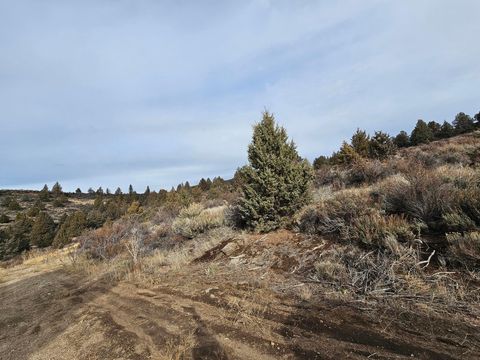  in Sprague River OR Lot 78 Mason Street 3.jpg