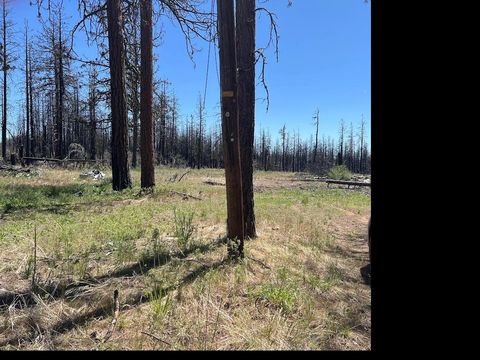  in Bonanza OR Zebu Lane Block 103 Lot 2 Lane #2.jpg