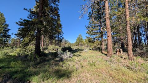 in Bonanza OR Seagull Drive #24.jpg