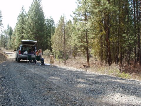  in Bonanza OR Oriole #Lots 2 & 3.jpg