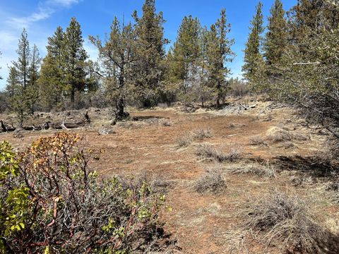  in Bonanza OR Lot 19 Nighthawk Drive.jpg