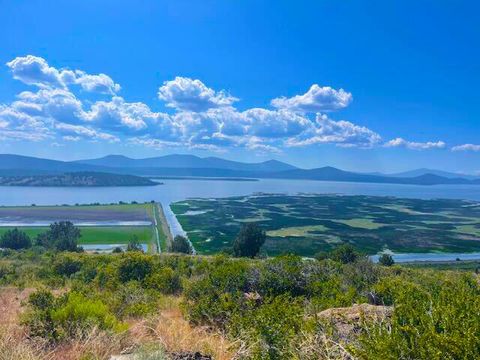  in Klamath Falls OR 201 Hanks Marsh.jpg