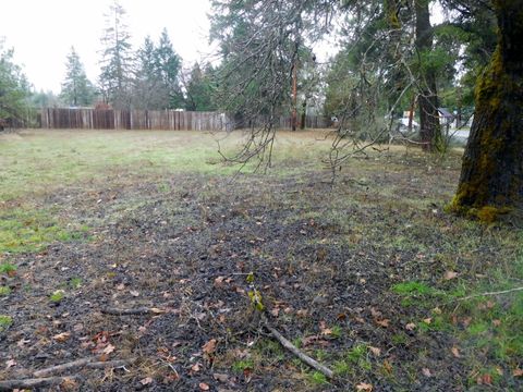 Unimproved Land in Cave Junction OR 28239 Redwood Highway.jpg