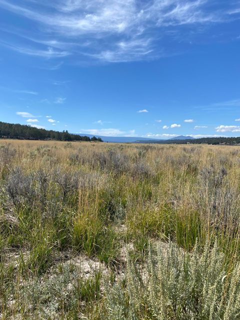  in Sprague River OR NKA Jackson Street #Lot 1 & 2.jpg