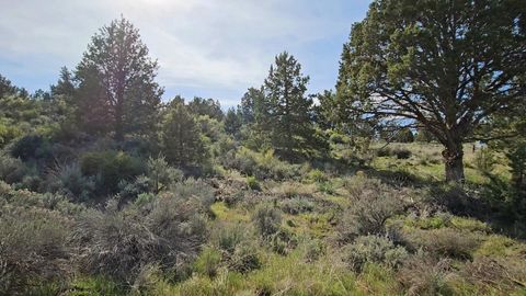  in Sprague River OR Harney Street #19.jpg