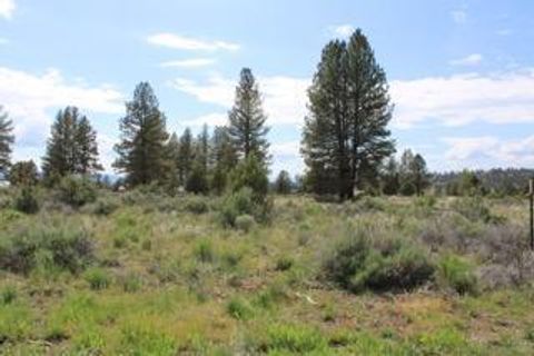 in Beatty OR Deer Springs Road.jpg