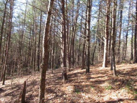 Unimproved Land in Sunset SC Lot 10 Sweet Shrub Court.jpg