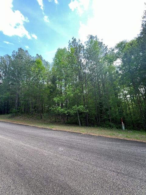 Unimproved Land in Iva SC 7 Southview Drive.jpg