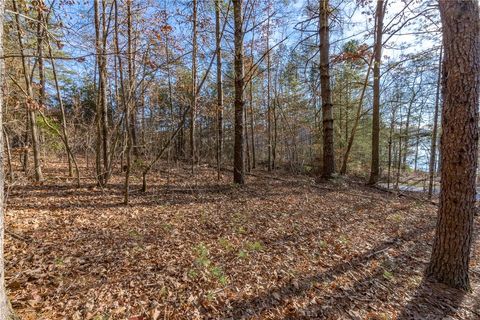 Unimproved Land in Sunset SC Lot 46 Princess Tree Way.jpg
