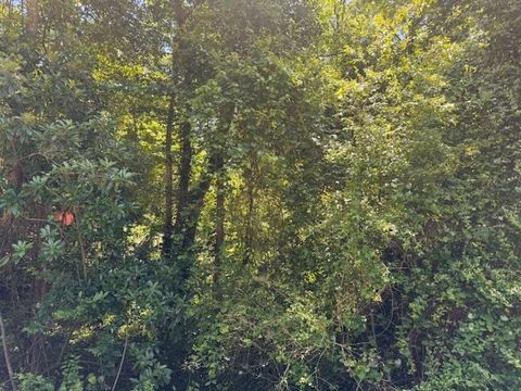 Unimproved Land in Spartanburg SC S Center Street.jpg