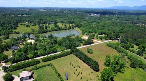 Unimproved Land in Campobello SC 1970 Old Mill Road 8.jpg