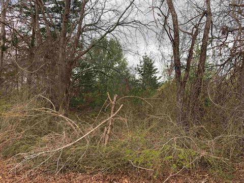 Unimproved Land in Cowpens SC 140 Twin Creek Road 2.jpg