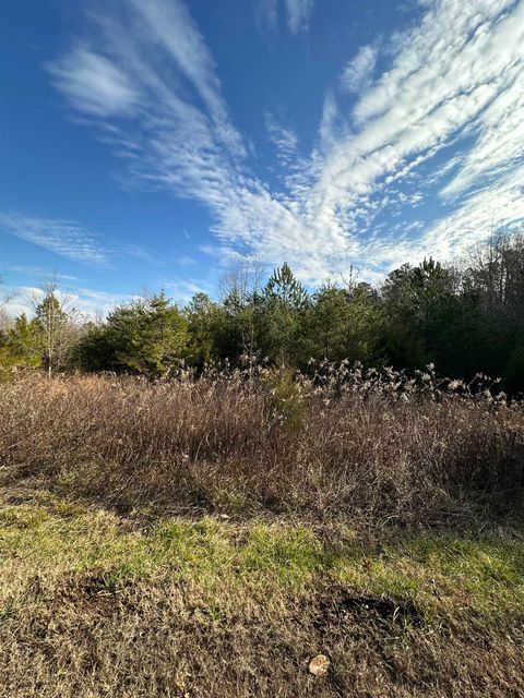 Unimproved Land in Blacksburg SC 00 Sherrill.jpg