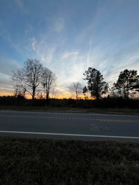 Unimproved Land in Enoree SC 2080 Browning Rd Highway.jpg