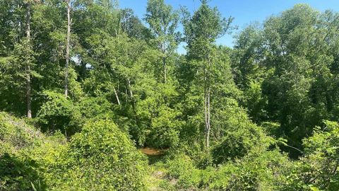 Unimproved Land in Spartanburg SC 0 Amherst Drive 4.jpg
