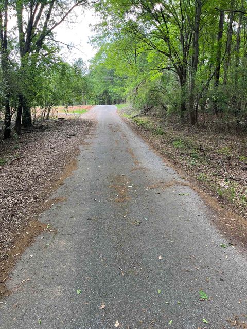 Unimproved Land in Spartanburg SC 289 Leeds Lane.jpg