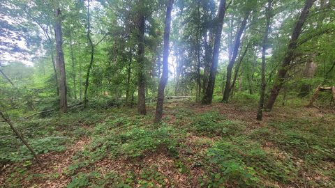 Unimproved Land in Chesnee SC 1429 Casey Creek rd.jpg