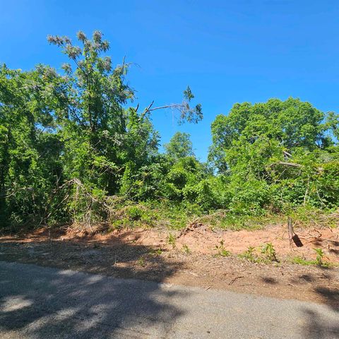 Unimproved Land in Enoree SC 0 Ice House Road.jpg
