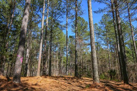 Unimproved Land in Pacolet SC 0 Asbury Road.jpg