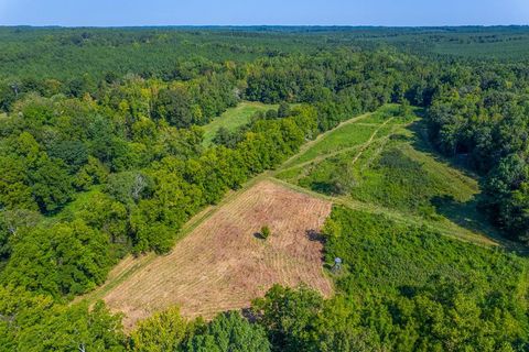 Unimproved Land in Enoree SC 00 Browning Road.jpg
