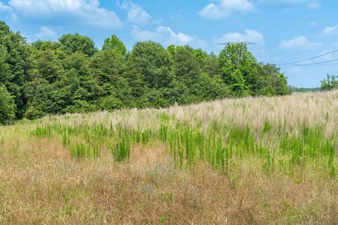 Unimproved Land in Chesnee SC 00B Cooley Springs School Road 2.jpg