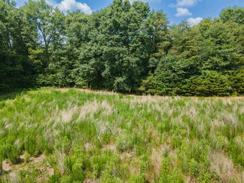 Unimproved Land in Chesnee SC 00B Cooley Springs School Road.jpg