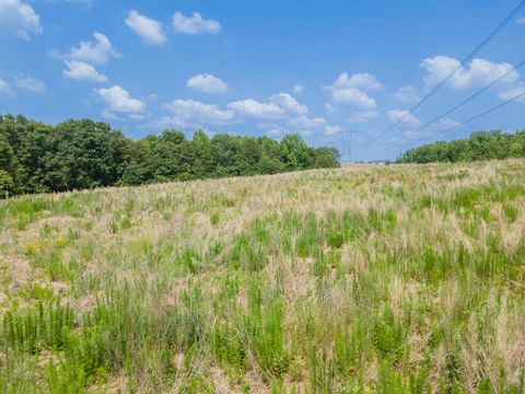 Unimproved Land in Chesnee SC 00B Cooley Springs School Road 4.jpg