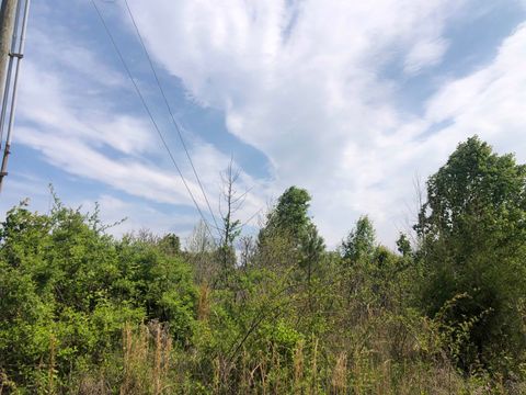 Unimproved Land in Cowpens SC 0 Jamyn Lot 6 Court.jpg