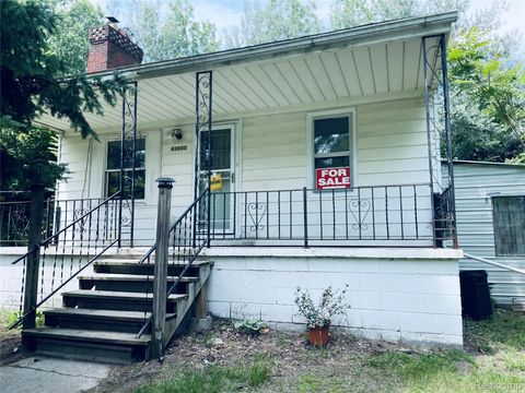 Single Family Residence in Belleville MI 43800 Dunn Road.jpg