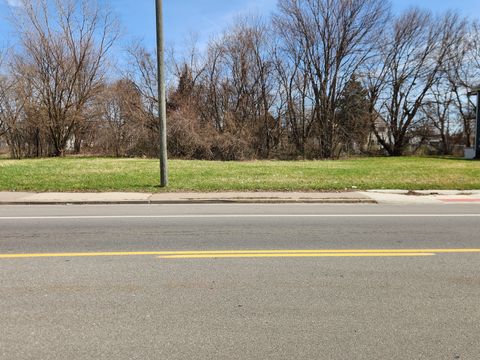 Unimproved Land in Detroit_Wayne MI 2700 MOUNT ELLIOTT Street.jpg