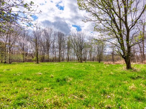 Unimproved Land in Fowlerville Livingston MI 0 Van Orden.jpg