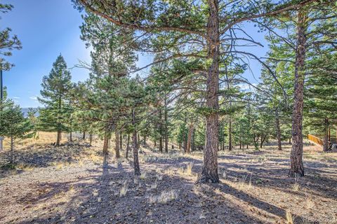 Unimproved Land in Florissant CO 37 Amanda Circle.jpg