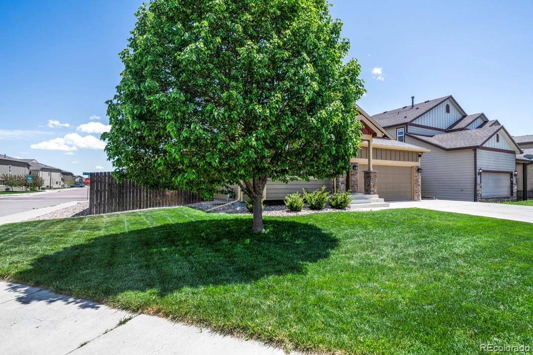 6309 Tranters Creek Way, Colorado Springs, CO 80925 photo
