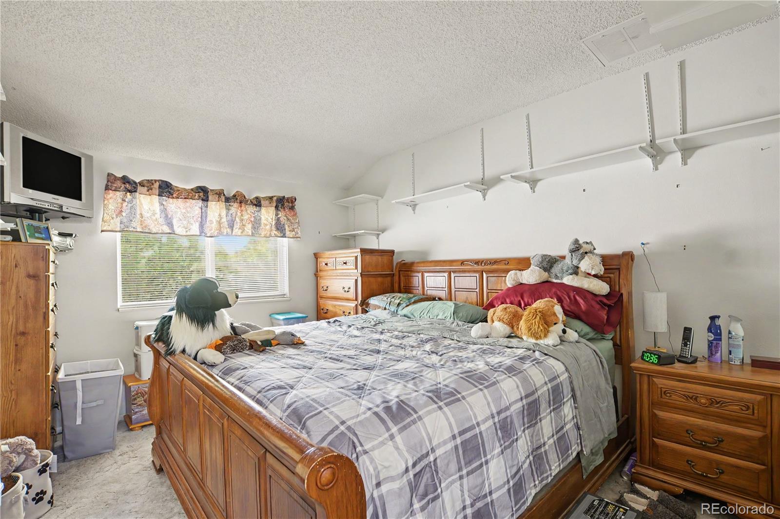 10035 Holland Ct, Broomfield, CO 80021 photo
