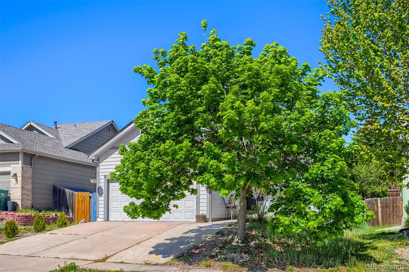4966 Ardley Dr, Colorado Springs, CO 80922 photo