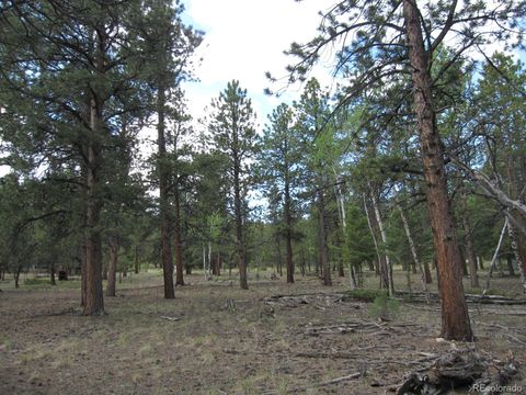 Unimproved Land in Buena Vista CO 30423 Harvard Circle.jpg