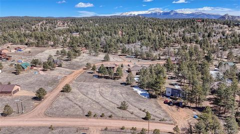 Unimproved Land in Florissant CO 394 Due South Road.jpg