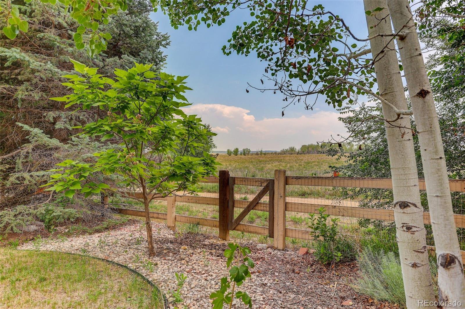 1664 Westin Dr, Erie, CO 80516 photo