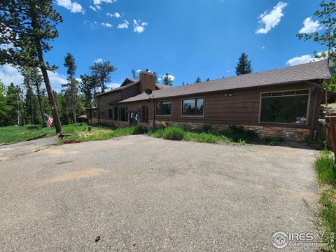 Single Family Residence in Allenspark CO 8451 Highway 7.jpg