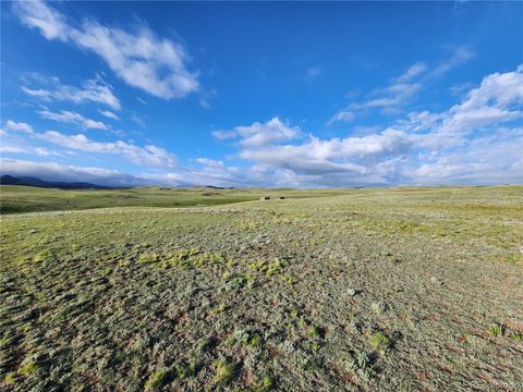 Unimproved Land in Hartsel CO 4305 Black Gatto Trail.jpg