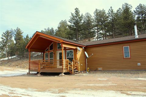 Single Family Residence in Guffey CO 7275 Co-9.jpg