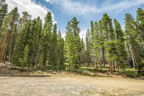 Unimproved Land in Idaho Springs CO 114 Elk Circle.jpg