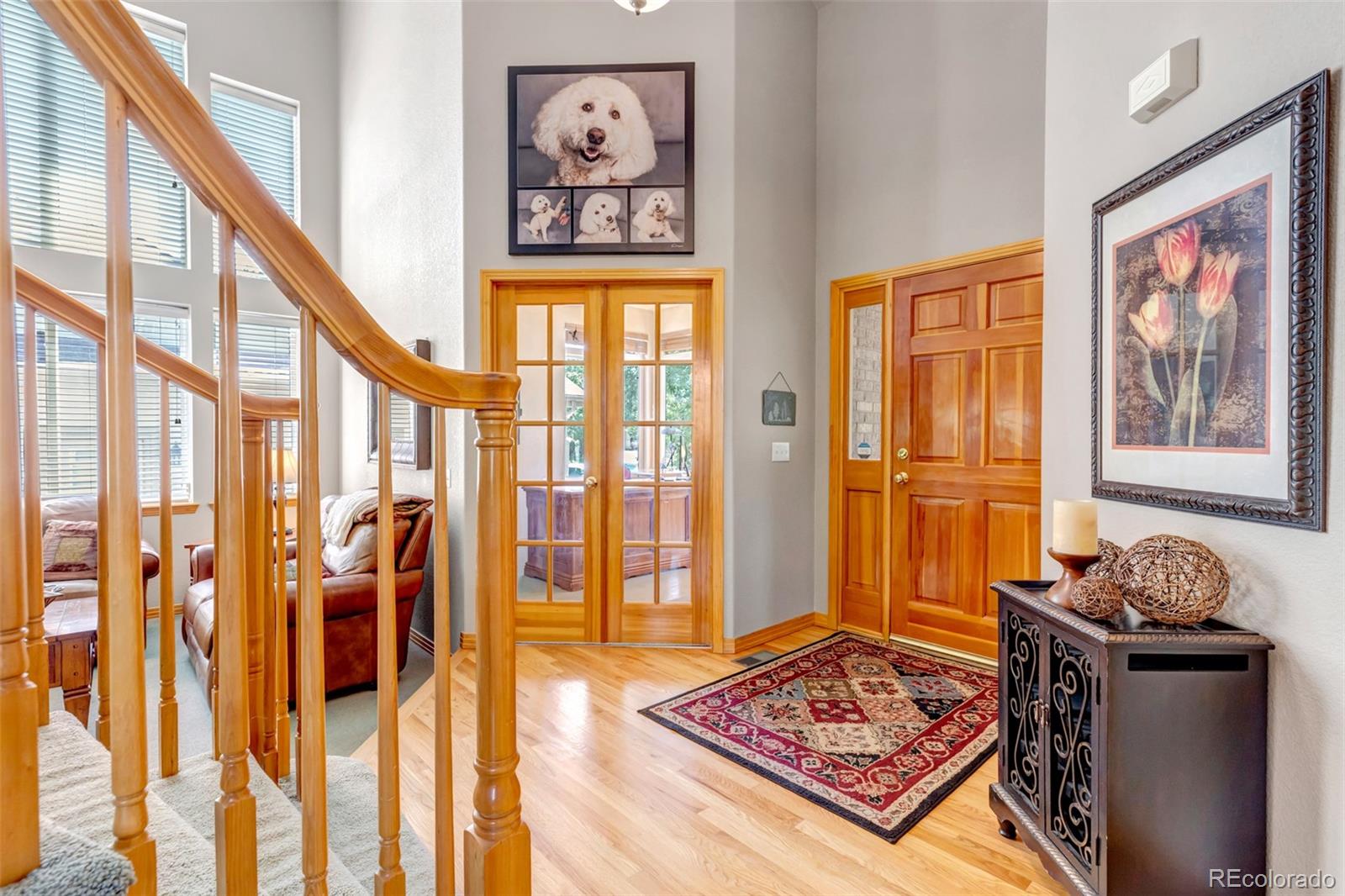 8466 S Nelson St, Littleton, CO 80127 photo