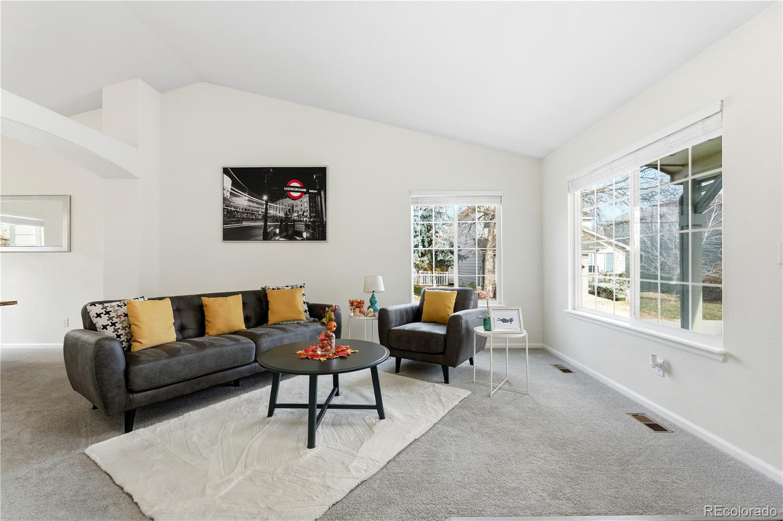 10513 Madison St, Thornton, CO 80233 photo