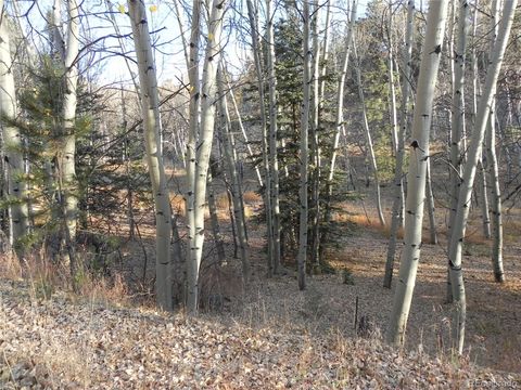 Unimproved Land in Florissant CO 430 Pinon Lane.jpg
