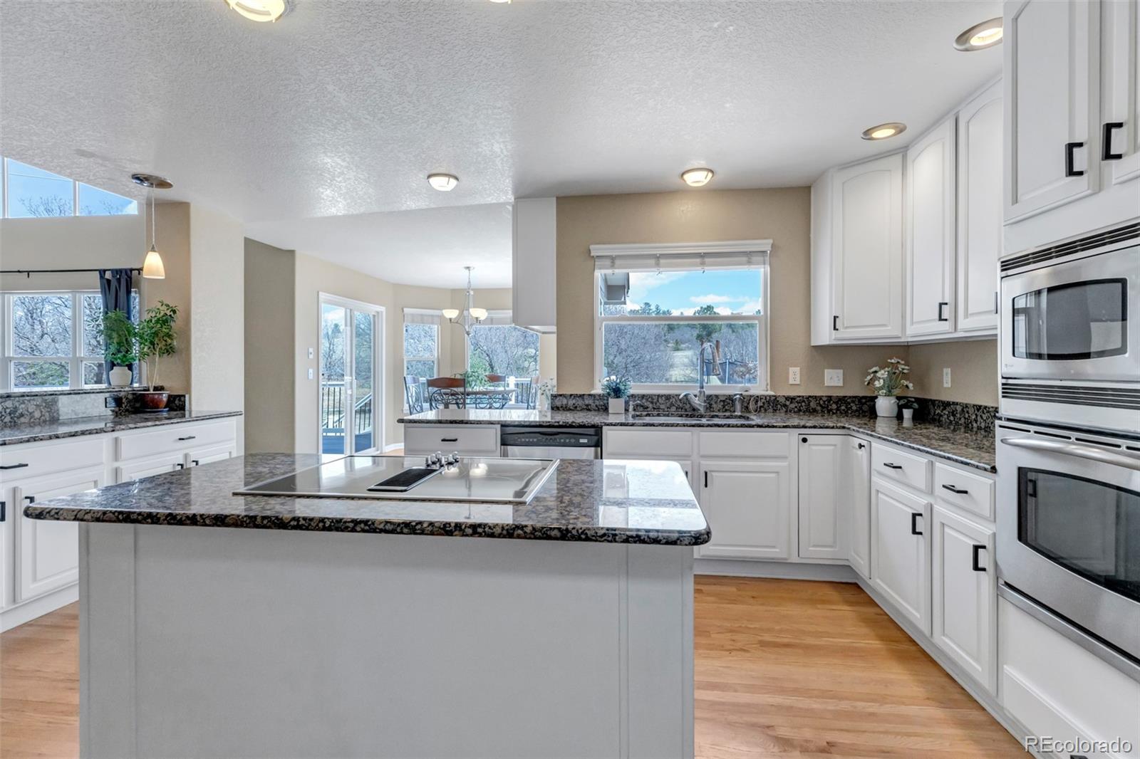 1645 Birchleaf Ct, Castle Rock, CO 80104 photo