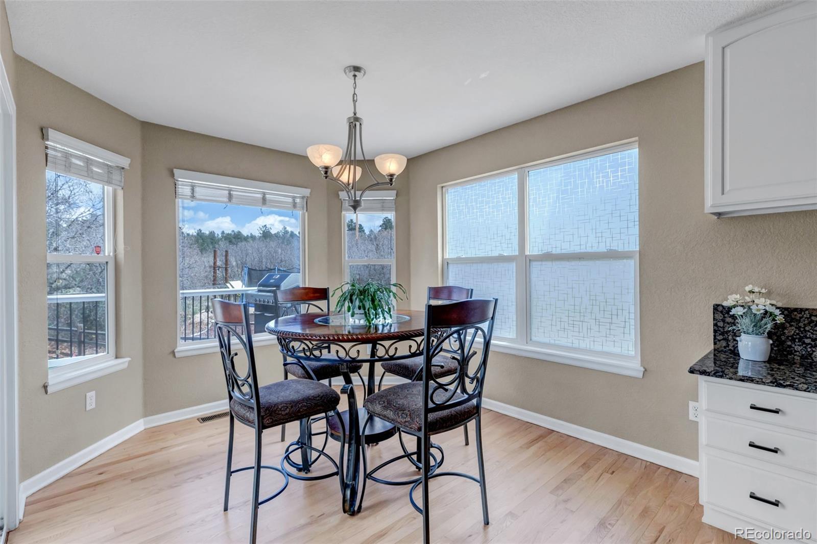 1645 Birchleaf Ct, Castle Rock, CO 80104 photo