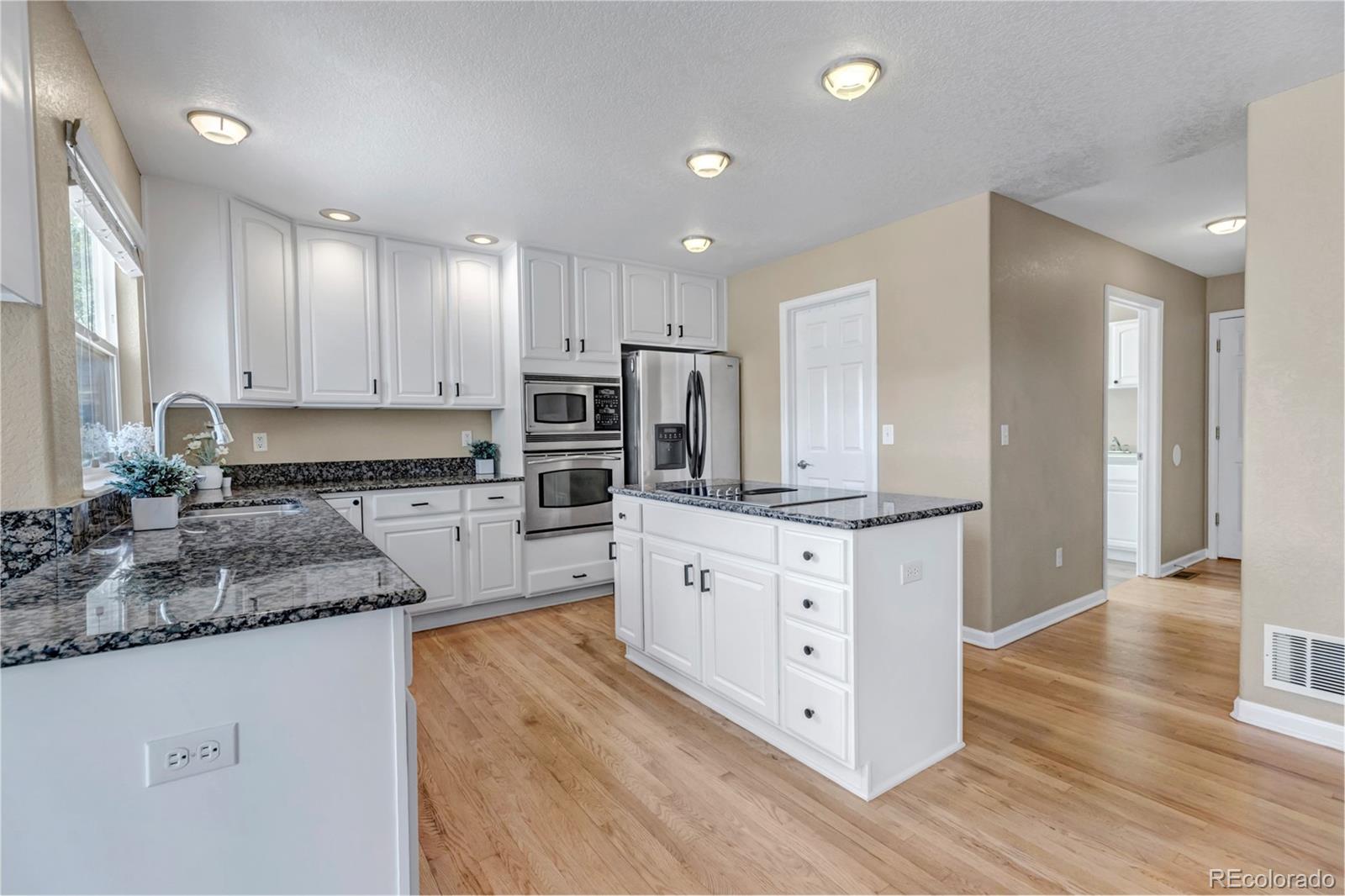 1645 Birchleaf Ct, Castle Rock, CO 80104 photo