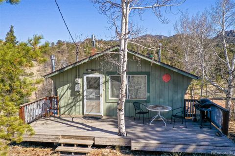 Single Family Residence in Lake George CO 256 Whale Drive.jpg